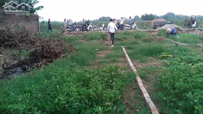 Hình ảnh BÁN NHANH 40m² ĐẤT HOÀNG LONG – ĐẶNG XÁ – GIA LÂM 0