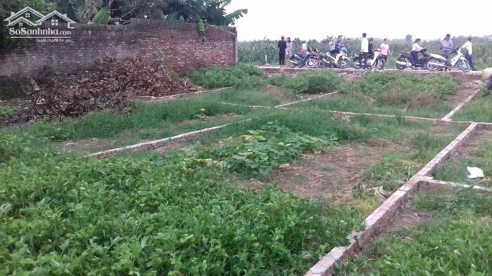 Hình ảnh BÁN NHANH 40m² ĐẤT HOÀNG LONG – ĐẶNG XÁ – GIA LÂM 1