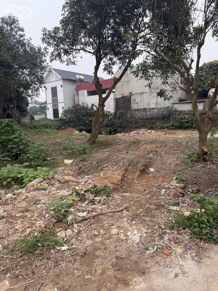 Hình ảnh Bán ĐẤT P/Lô 2 Ô Tô Tránh Full Thổ Cư 100/107m2-MT5m Gốc Thông Minh Phú 2,8 Tỷ. 1