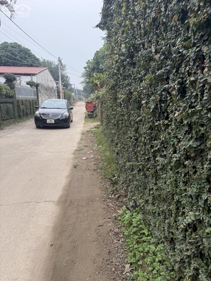 Hình ảnh Bán ĐẤT P/Lô 2 Ô Tô Tránh Full Thổ Cư 100/107m2-MT5m Gốc Thông Minh Phú 2,8 Tỷ. 4