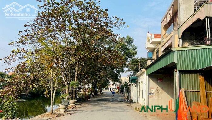 Hình ảnh Chuyển nhượng lô đất 125m2 TDP Đền, Phường Thiên Hương ( xã Lâm Động), TP Hải Phòng 2