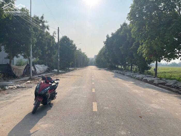 Hình ảnh Bán đất Cụm Kinh Tế Đồng Tâm, Hội Hợp, Vĩnh Yên. Đường Trần Doãn Hựu. 2