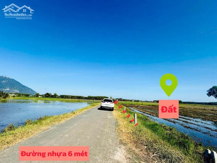 Hình ảnh Mặt tiền đường nhựa view trực diện núi bà đen full thổ cư 140m2 sẵn sổ ra thị trấn DMC chỉ vài phút 2