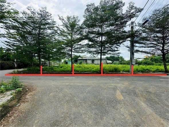 Hình ảnh Đất nền F0 Bửu Long, bao sổ sách, công chứng sang tên ngay 3