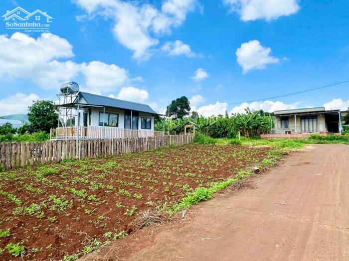Hình ảnh Nam Ban-Lâm Hà dt 5*26m sẵn thổ cư sát địa phận Đà Lạt 12km view rừng thông chill chill mát mẻ giá chỉ 599tr 0
