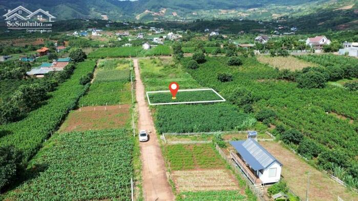 Hình ảnh Nam Ban-Lâm Hà dt 5*26m sẵn thổ cư sát địa phận Đà Lạt 12km view rừng thông chill chill mát mẻ giá chỉ 599tr 1