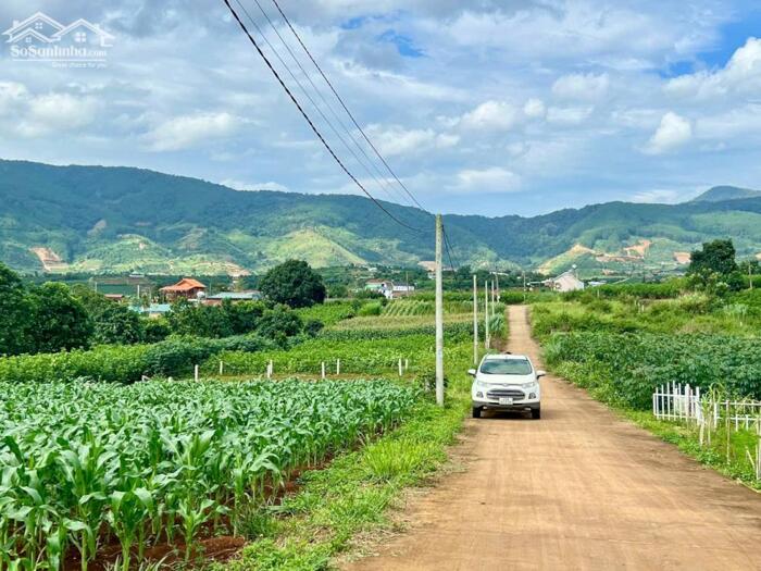 Hình ảnh Nam Ban-Lâm Hà dt 5*26m sẵn thổ cư sát địa phận Đà Lạt 12km view rừng thông chill chill mát mẻ giá chỉ 599tr 2