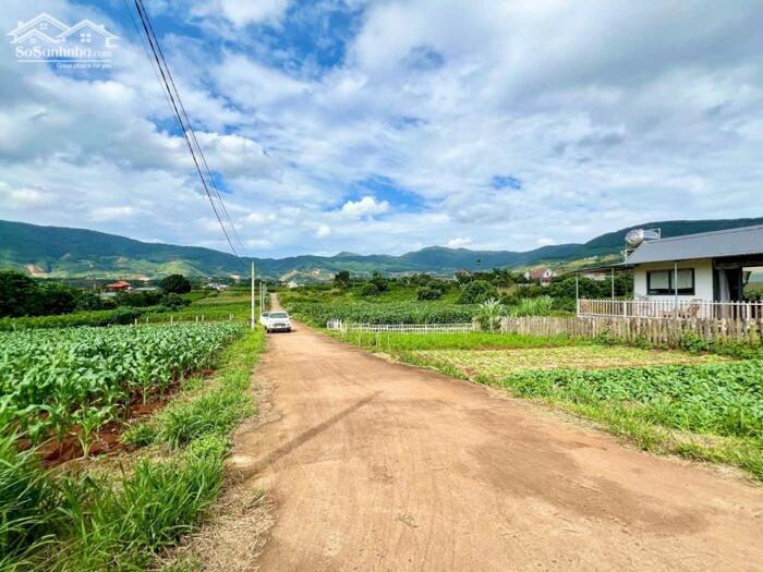 Hình ảnh Nam Ban-Lâm Hà dt 5*26m sẵn thổ cư sát địa phận Đà Lạt 12km view rừng thông chill chill mát mẻ giá chỉ 599tr 3