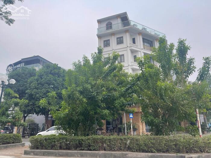 Hình ảnh Bán 100m đất đấu giá TT5A Giang Biên chân toàn chung cư Ruby kinh doanh đa dạng 1