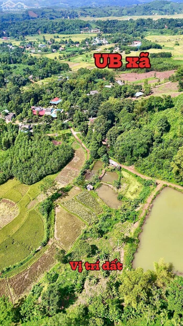 Hình ảnh ️Tổng diện tích sử dụng lên đến 3500m2 trong đó 1185m2 đất ở + vườn. Tặng kèm 2400m2 đất ao và lúa. 5