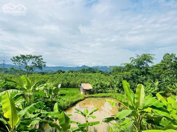 Hình ảnh ️Tổng diện tích sử dụng lên đến 3500m2 trong đó 1185m2 đất ở + vườn. Tặng kèm 2400m2 đất ao và lúa. 3