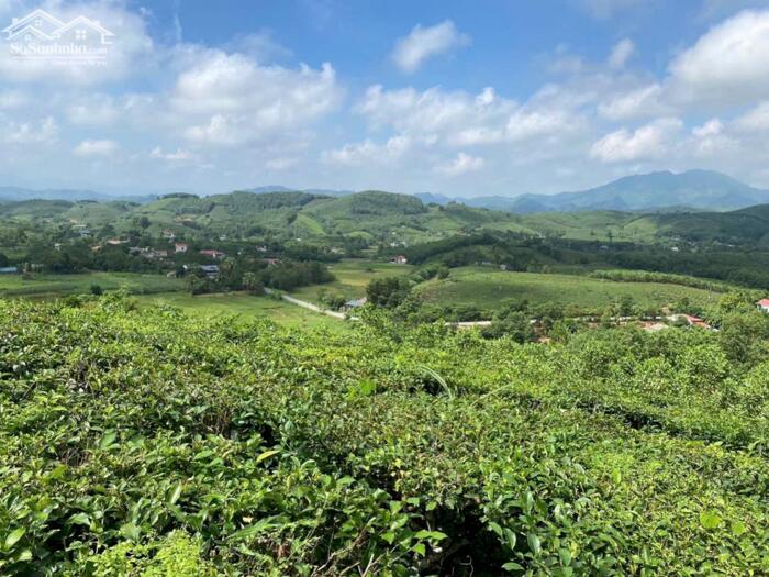 Hình ảnh CƠ HỘI LẬP LÀNG SINH THÁI MIỀN NÚI THANH SƠN – GIÁ RẺ HIẾM! 3