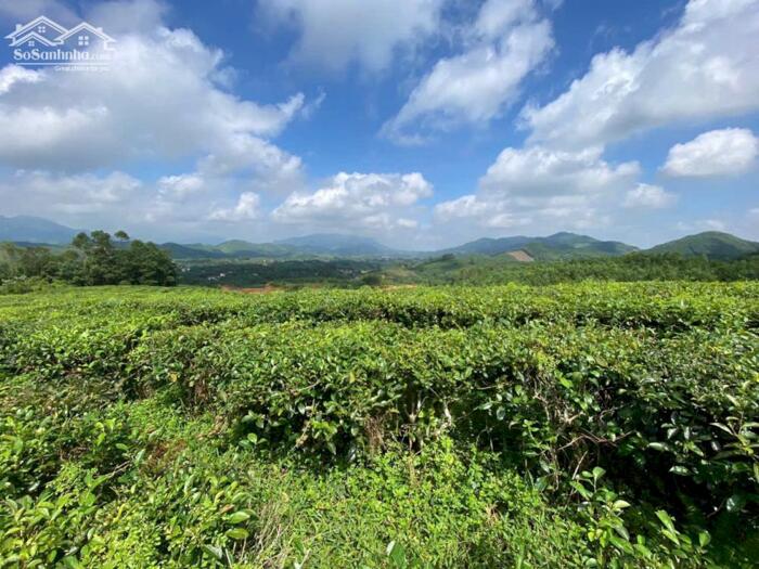 Hình ảnh CƠ HỘI LẬP LÀNG SINH THÁI MIỀN NÚI THANH SƠN – GIÁ RẺ HIẾM! 2