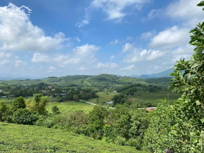 Hình ảnh CƠ HỘI LẬP LÀNG SINH THÁI MIỀN NÚI THANH SƠN – GIÁ RẺ HIẾM! 5