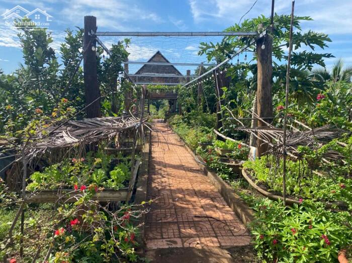 Hình ảnh Bán đất nông nghiệp view suối phường Hoà Phú giá tốt 1