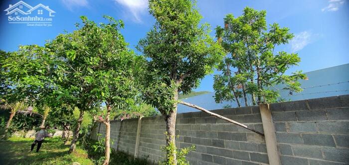 Hình ảnh Bán Gấp Lô Đất Thổ Cư 634m2 – Đường 6m Thoáng - Xe Hơi Vào Tận Nơi - Vị Trí Vàng Gần Biển & Trung Tâm 5