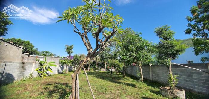 Hình ảnh Bán Gấp Lô Đất Thổ Cư 634m2 – Đường 6m Thoáng - Xe Hơi Vào Tận Nơi - Vị Trí Vàng Gần Biển & Trung Tâm 4