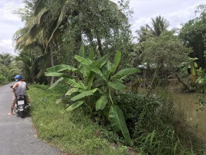 Hình ảnh Bán đất Nhị Bình, Cách Chợ Trường Học 1km, Xe Hơi Tới đất - 750tr Có Thương Lượng Chính Chủ 8