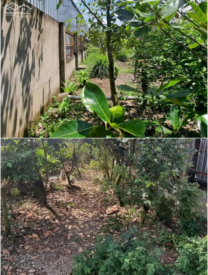 Hình ảnh Đất Mt đường Đỗ Trình Thoại, Hướng Thọ Phú TP Tân An 1