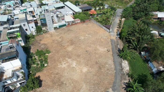 Hình ảnh BDS HVL 3000m2 đất có 993m2 thổ Q9 giá thơm 4