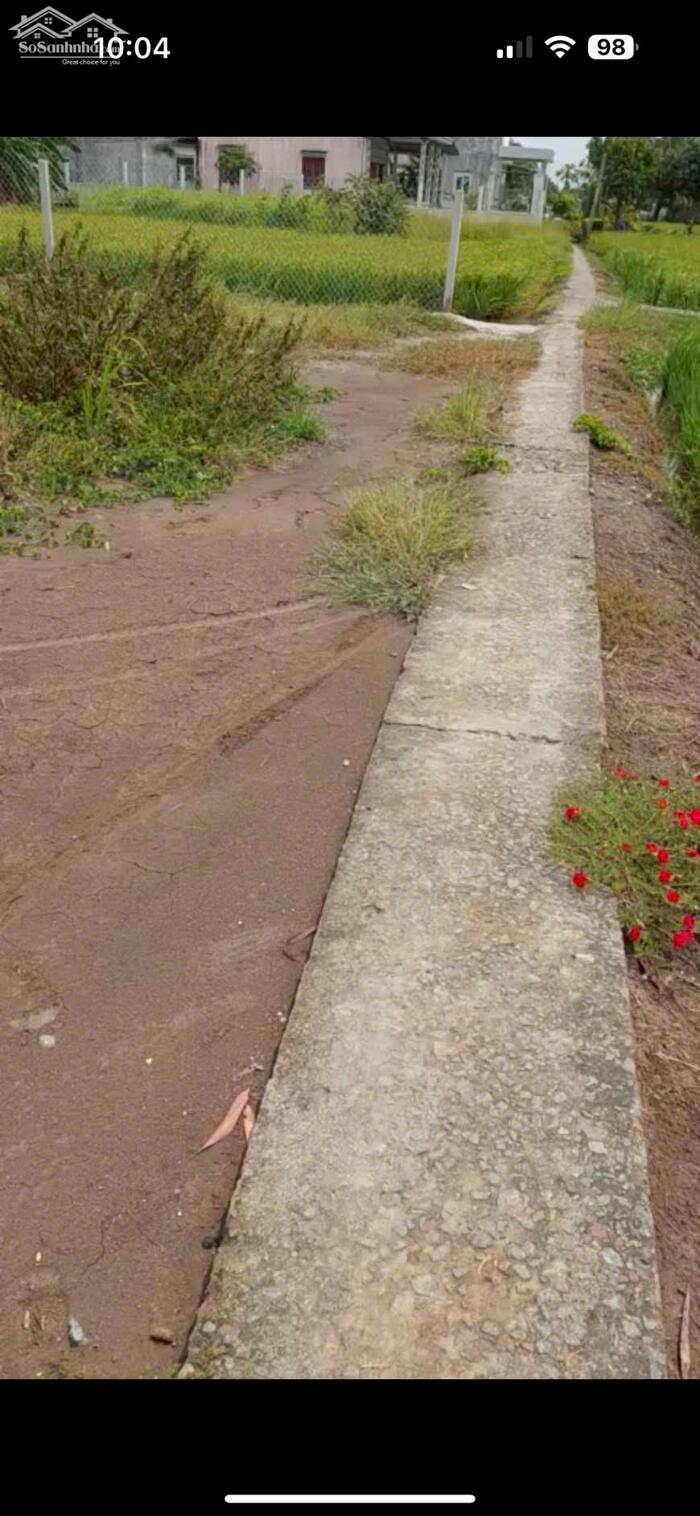 Hình ảnh Đất thổ lúa 1000m2 nhà vườn giá rẻ mt xe máy cách đường xe hơi 200m chỉ 1 tỏi 250tr 2