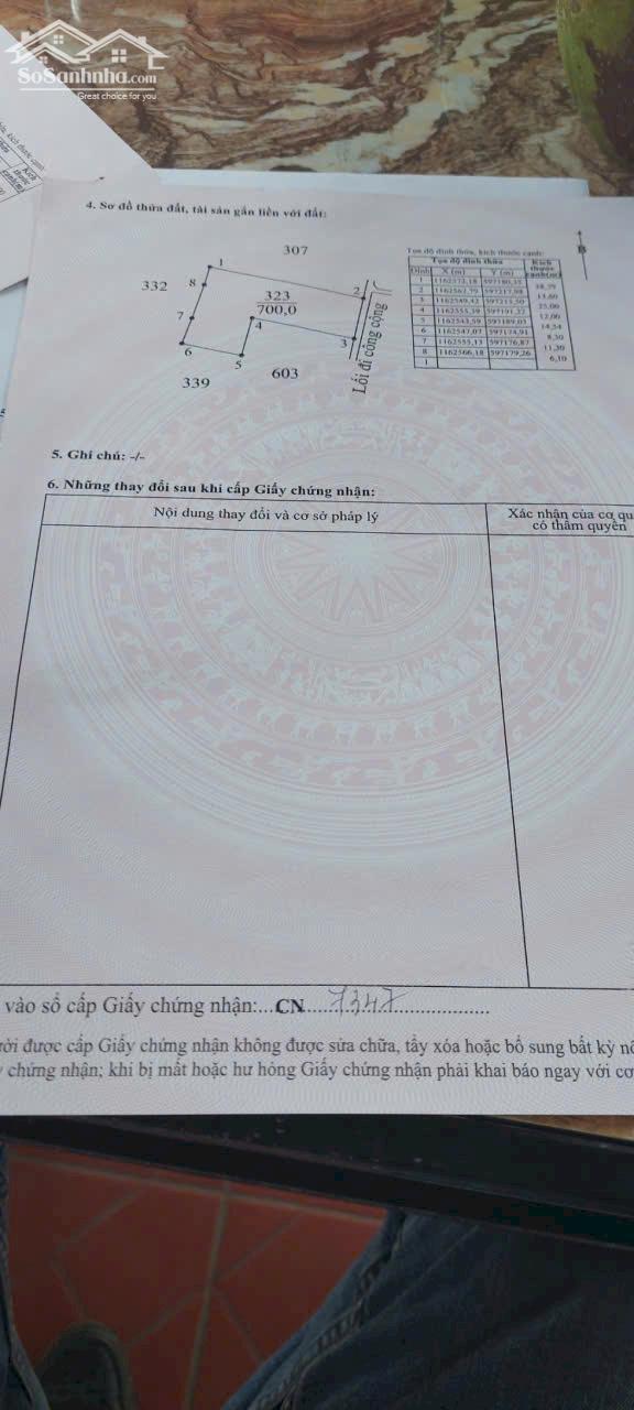 Hình ảnh Đất thổ lúa 1000m2 nhà vườn giá rẻ mt xe máy cách đường xe hơi 200m chỉ 1 tỏi 250tr 4