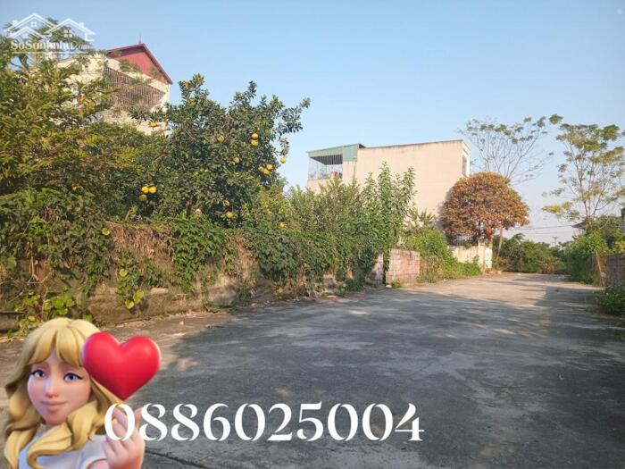 Hình ảnh Chuyển nhượng Thửa đất 80m² full thổ cư tại khu phân lô ck2, Thủy Xuân Tiên, Xuân Mai, Hà Nội 1