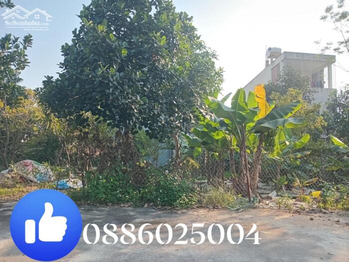 Hình ảnh Chuyển nhượng Thửa đất 80m² full thổ cư tại khu phân lô ck2, Thủy Xuân Tiên, Xuân Mai, Hà Nội 2