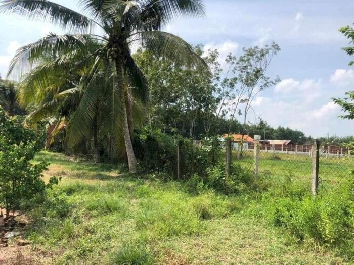 Hình ảnh Đất thổ cư mặt tiền Hà Thị Kiểm-Phú Mỹ Hưng-Củ Chi.Dt 29x59~1711m2~6,5ty 3