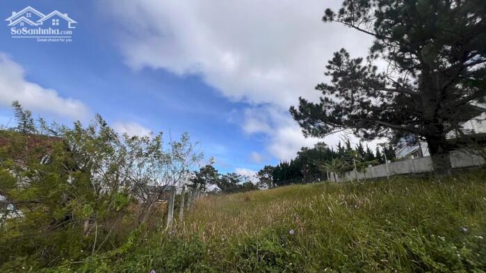 Hình ảnh Bán đất tại Nguyễn Hữu Cảnh, Phường 8, Đà Lạt, 42 tỷ, 860 m2 đẹp, nhiều tiện ích Hot! 3