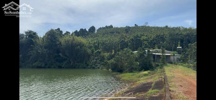 Hình ảnh Rẫy view hồ tự nhiên giá rẻ, nguồn thu mạnh, oto vào tận nơi, đông dân cư 1
