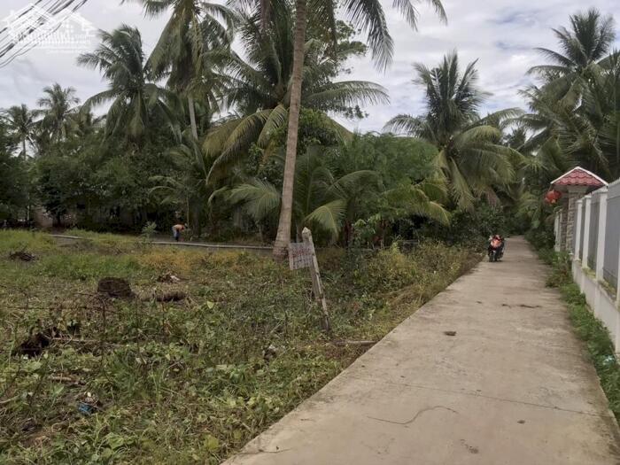 Hình ảnh Bán Đất Nhị Bình- Cách Trường Học Bệnh Viện 1km - 750tr Có Thương Lượng chính chủ 5