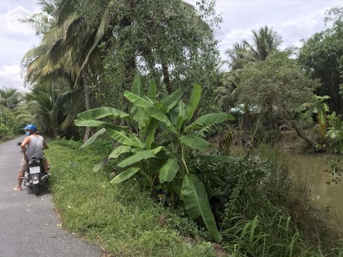 Hình ảnh Bán Đất Nhị Bình- Cách Trường Học Bệnh Viện 1km - 750tr Có Thương Lượng chính chủ 8