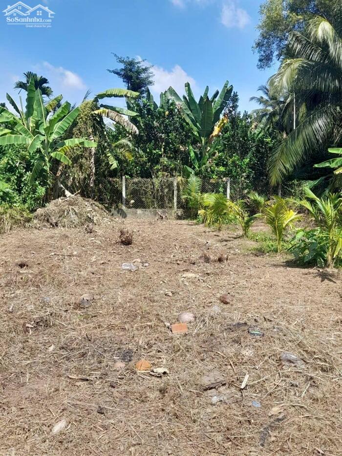 Hình ảnh bán nền giá rẻ lộ ô tô xã mỹ thạnh nam , bến tre 0