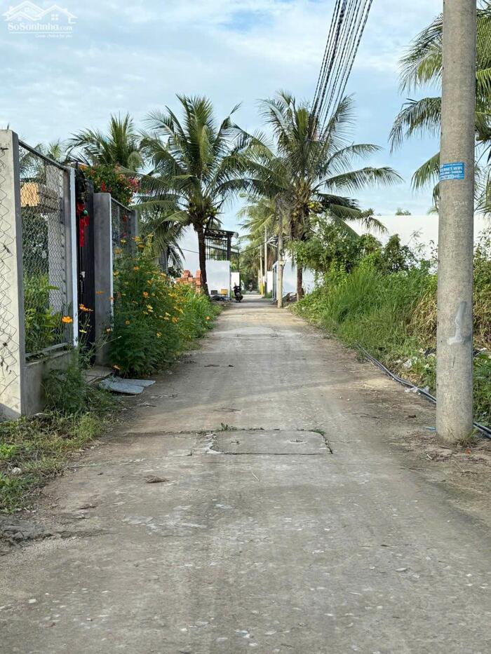 Hình ảnh bán 2 nền 90m2 , có 36m2 thổ cư, sau bến xe tỉnh bến tre , phường phú tân , bến tre 1