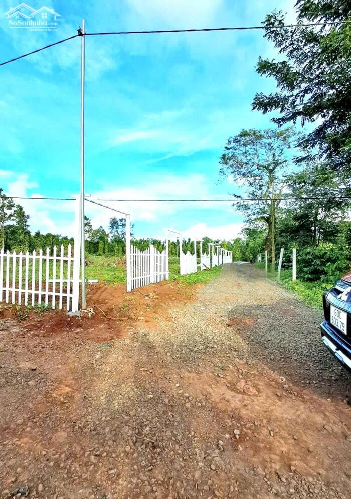 Hình ảnh Bình Yên Village Cư Kuin - Đắk Lắk full thổ cư 150m2 bàn giao cổng hoa, đường điện giá chỉ từ 185tr 0