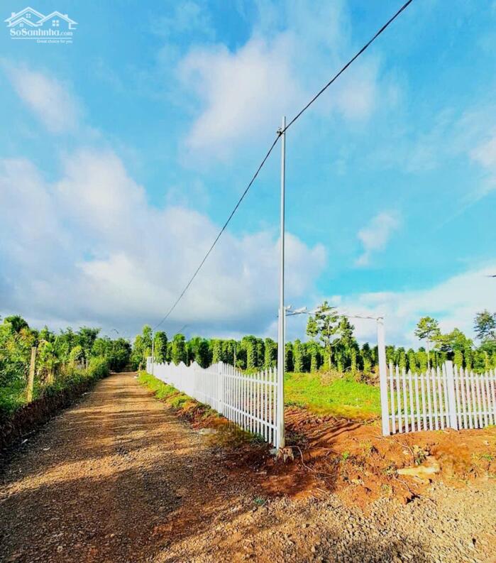 Hình ảnh Bình Yên Village Cư Kuin - Đắk Lắk full thổ cư 150m2 bàn giao cổng hoa, đường điện giá chỉ từ 185tr 1