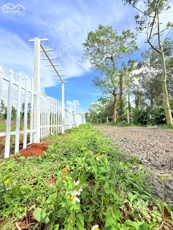 Hình ảnh Bình Yên Village Cư Kuin - Đắk Lắk full thổ cư 150m2 bàn giao cổng hoa, đường điện giá chỉ từ 185tr 2