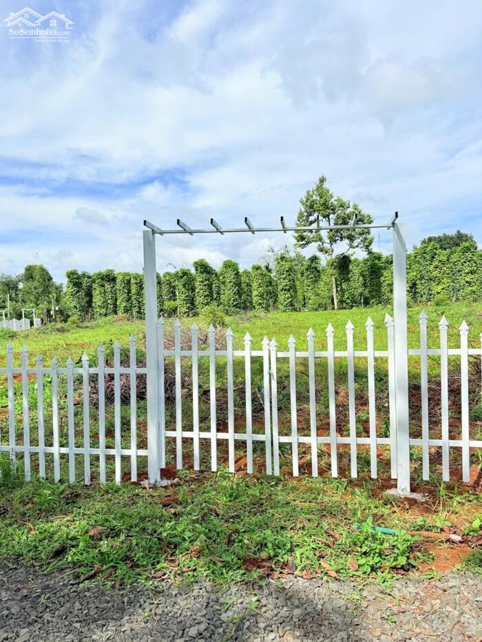 Hình ảnh Bình Yên Village Cư Kuin - Đắk Lắk full thổ cư 150m2 bàn giao cổng hoa, đường điện giá chỉ từ 185tr 3