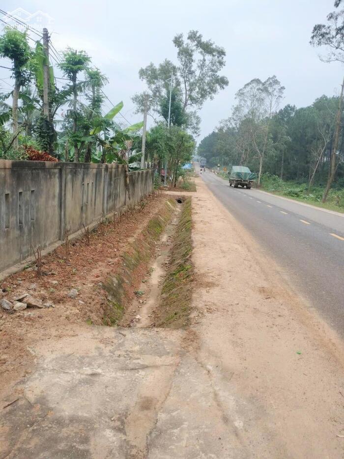 Hình ảnh bán đất mặt tiền đường tỉnh lộ 560 xã Bố Tạch tỉnh Quảng Trị giá 1,2 tỷ, làm việc chính chủ 0