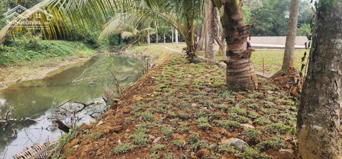 Hình ảnh CHÍNH THỨC MỞ BÁN KHU DÂN CƯ CHỢ BÃI XE – HỢP KIM – PHÚ THỌ (Kim Bôi cũ – vị trí trung tâm, liền kề nghỉ dưỡng) 0