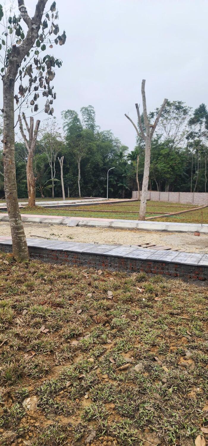 Hình ảnh CHÍNH THỨC MỞ BÁN KHU DÂN CƯ CHỢ BÃI XE – HỢP KIM – PHÚ THỌ (Kim Bôi cũ – vị trí trung tâm, liền kề nghỉ dưỡng) 3