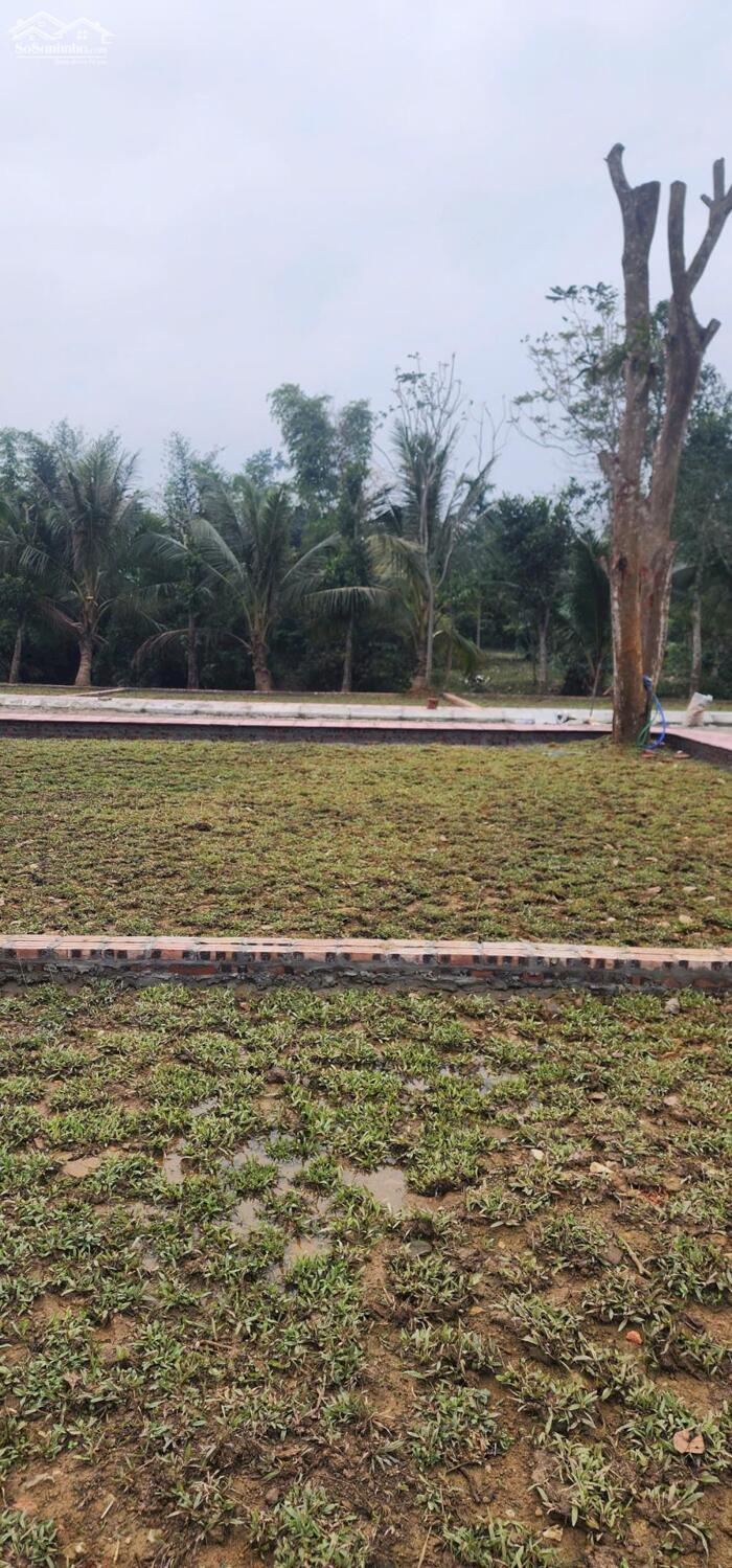 Hình ảnh CHÍNH THỨC MỞ BÁN KHU DÂN CƯ CHỢ BÃI XE – HỢP KIM – PHÚ THỌ (Kim Bôi cũ – vị trí trung tâm, liền kề nghỉ dưỡng) 4