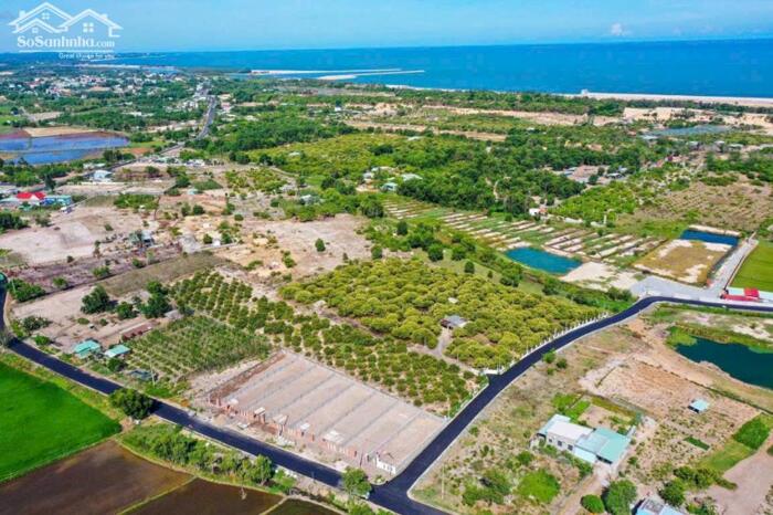 Hình ảnh Bán gấp lô đất Phước Hội - BRVT gần biển, diện tích hơn 400m2 ngang 11m 1