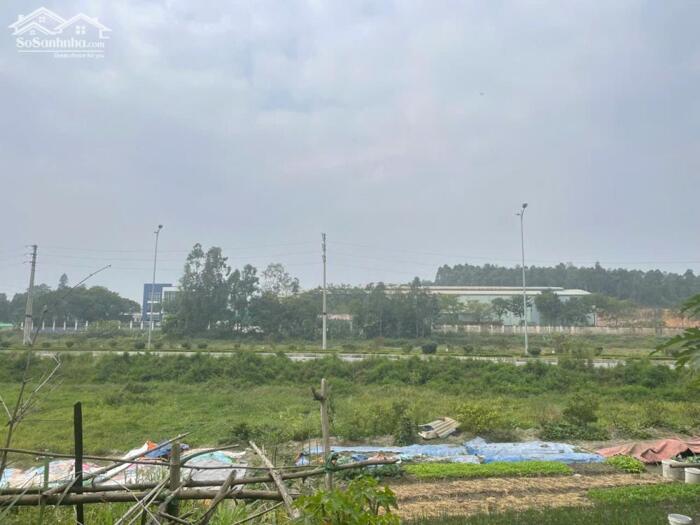 Hình ảnh CHỦ NHỜ BÁN Ô ĐẤT ĐỊNH TRUNG, VĨNH YÊN, VỊ TRÍ ĐẮC ĐỊA 2