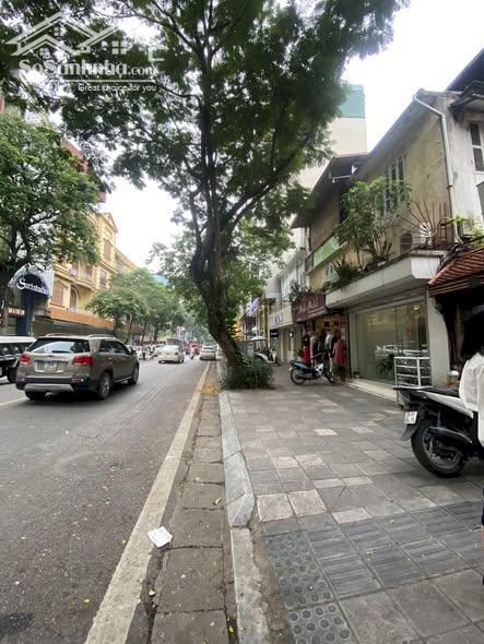 Hình ảnh Mặt Tiền 8M Mặt phố Hòa Mã 5 Tầng 53 Tỷ Sổ Đỏ Chính Chủ Vuông 0