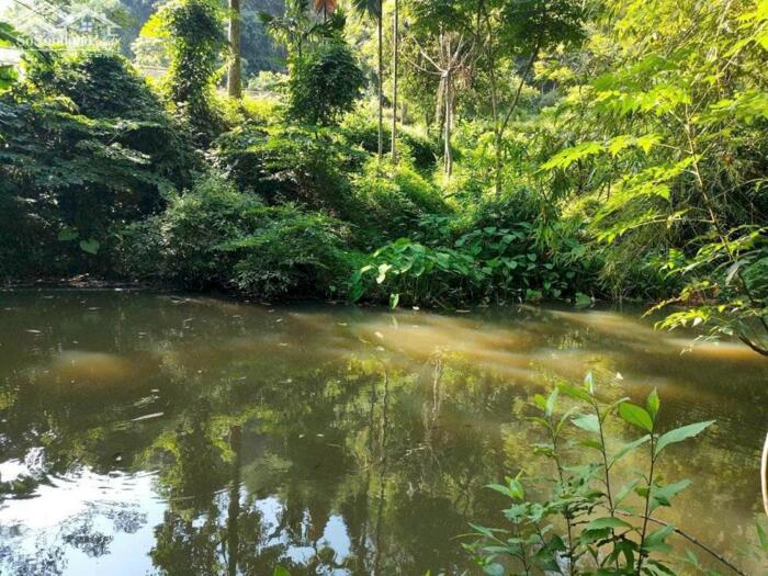 Hình ảnh BÁN LÔ ĐẤT VIEW ĐẸP – GIÁ TỐT TẠI KIM BÔI – HÒA BÌNH 1