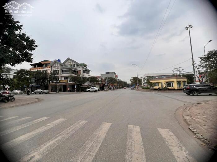 Hình ảnh Bán Nhanh 236m2 Đất Đấu Giá KĐT 31ha Trâu Quỳ, Gia Lâm, Hà Nội 2