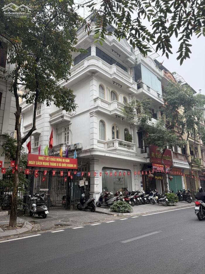 Hình ảnh Bán Nhà Mặt Phố Sơn Tây Ba Đình 71m2-5T MT5m 2 THOÁNG 58,8 Tỷ Có Thương Lượng. 4