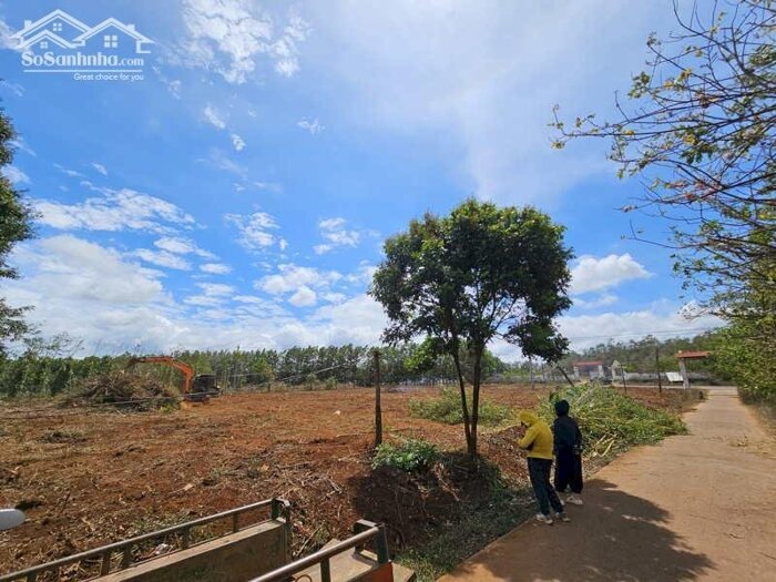 Hình ảnh Đất Thổ Cư 3900m2 Ea Drong 650m2 Thổ Cư - Gần Khu Công Nghiệp Phú Xuân 2